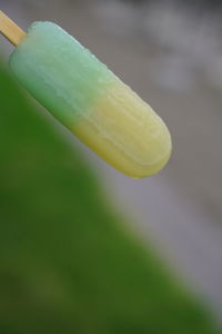 Close-up of lemon slice