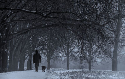 Rear view of person standing on snow covered land