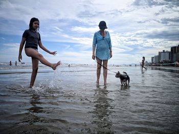 Two dogs on beach