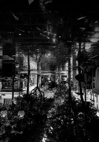 Abandoned building and trees in city at night