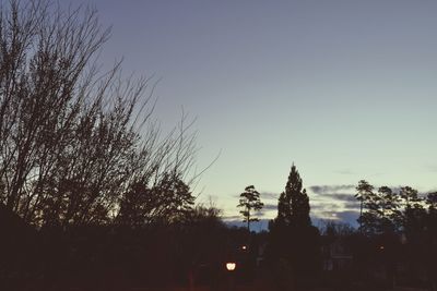 Low angle view of silhouette trees against sky at sunset