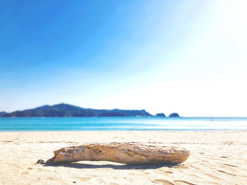 Scenic view of beach against clear sky