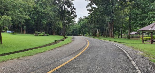 Road amidst trees in city