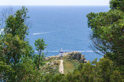 High angle view of trees by sea against sky