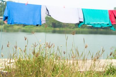 Clothes drying on field by lake