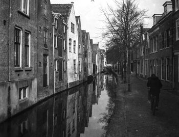 Rear view of man riding bicycle on road amidst buildings