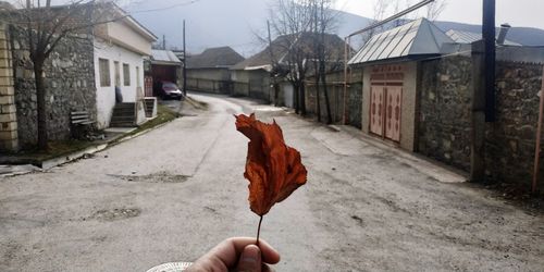 Person holding dry maple leaves outside house