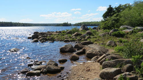 Scenic view of river against sky