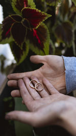 Low section of woman holding plant