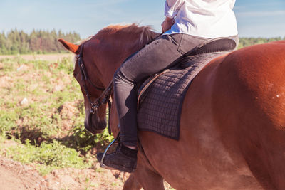 Midsection of man riding horse on field