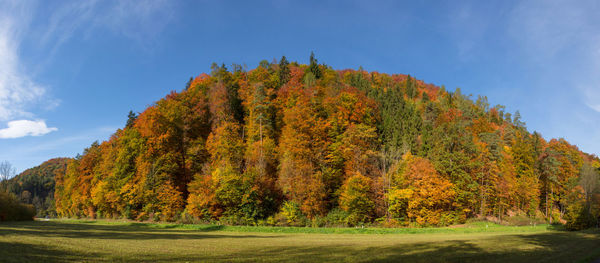 Panoramic view of trees against sky