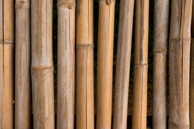 Full frame shot of bamboo wall