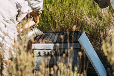 Midsection of man beekeeping at yard