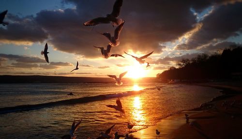 Scenic view of sea at sunset