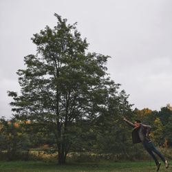 Low angle view of trees