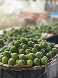 Close-up of fruits for sale