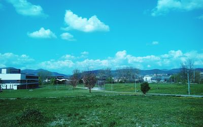 Trees on grassy field against cloudy sky