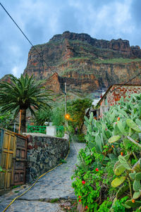 Footpath amidst plants against sky