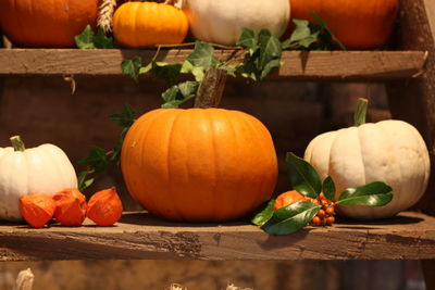 Close-up of pumpkins on table