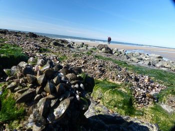 Rocks on landscape against clear sky