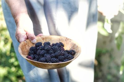 Midsection of person holding blackberries in wooden bowl at farm