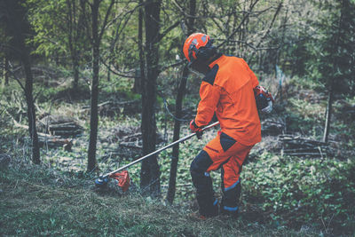 Man holding a brush cutter cut grass. lumberjack at work gardener working outdoor in the forest. 