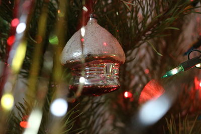 Close-up of decoration hanging on christmas tree