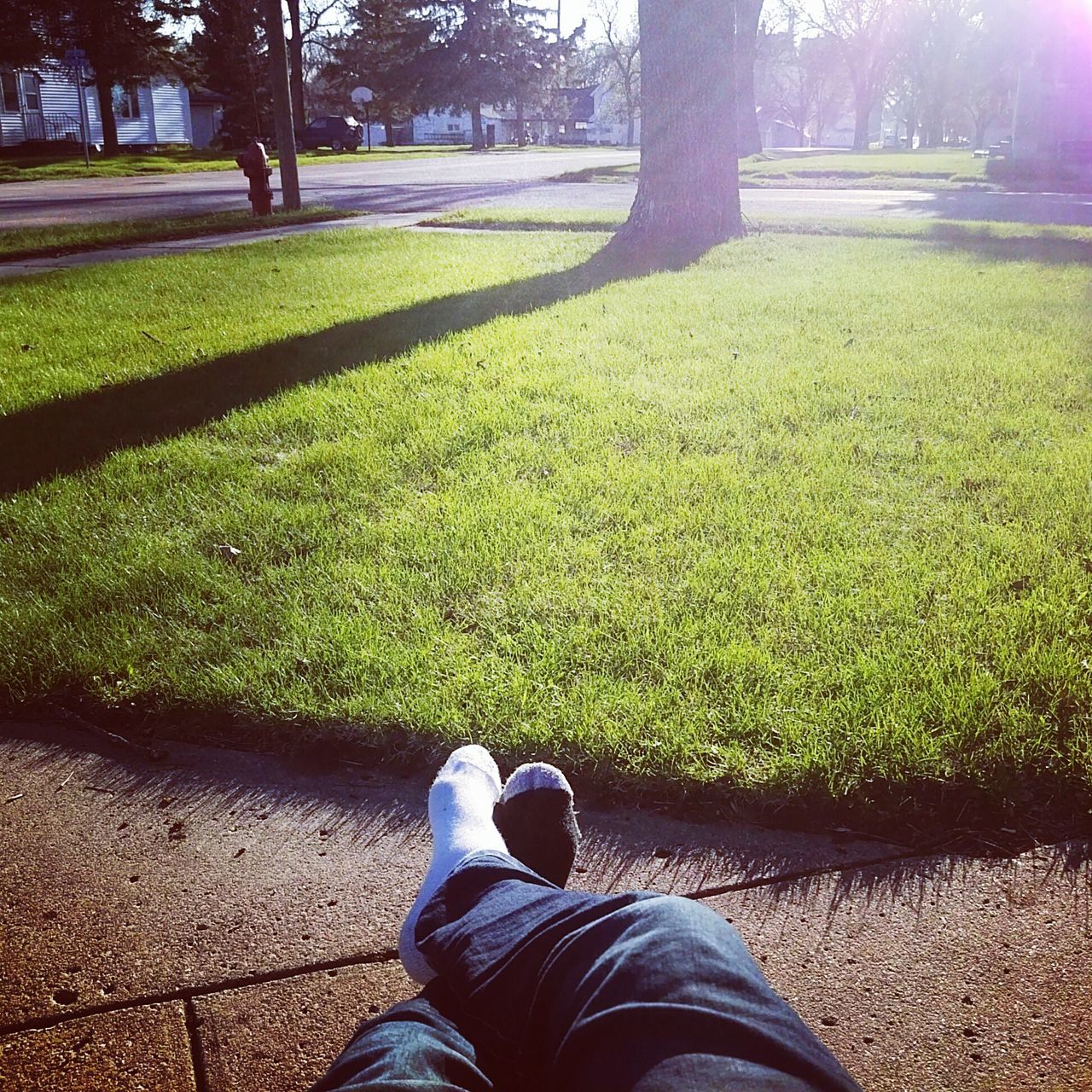 low section, grass, person, lifestyles, shoe, personal perspective, leisure activity, grassy, standing, field, tree, men, green color, sunlight, unrecognizable person, park - man made space, human foot