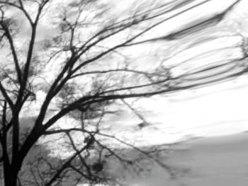 Low angle view of bare trees against sky