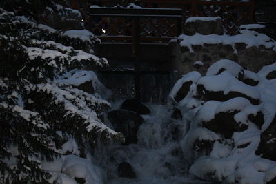 Snow covered trees against built structure in winter