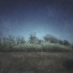 Scenic view of field against clear sky at night