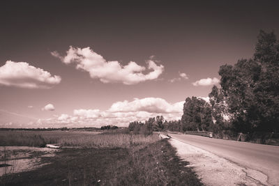 Empty road along trees on field against sky