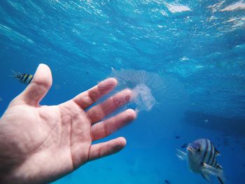 Man swimming in sea