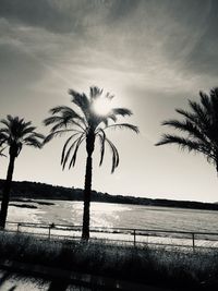 Silhouette palm tree by sea against sky