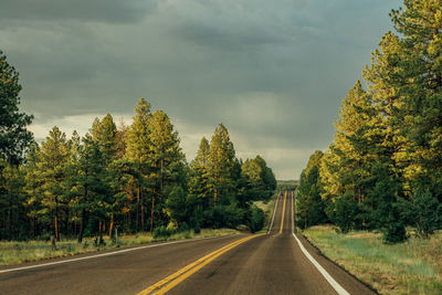 Road amidst trees against sky