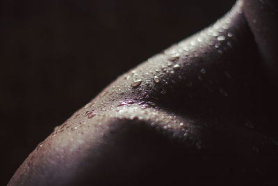 Close-up of water drops on man over black background