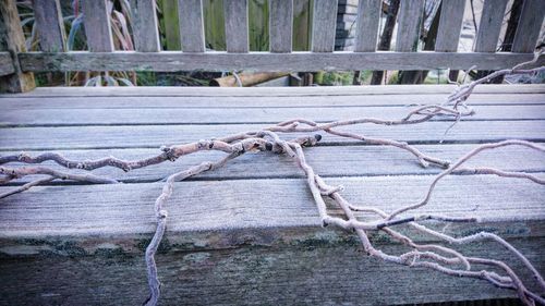 Close-up of rope tied to fence
