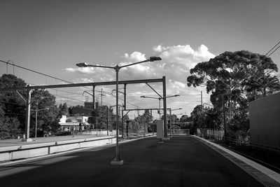 Trees in city against sky