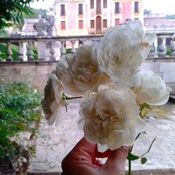 Close-up of hand holding flower