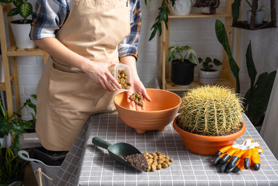 Midsection of man holding potted plant