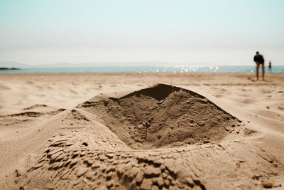 Scenic view of beach