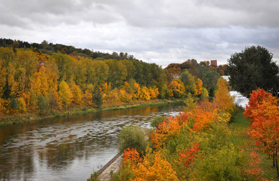 Scenic view of river in forest against sky during autumn