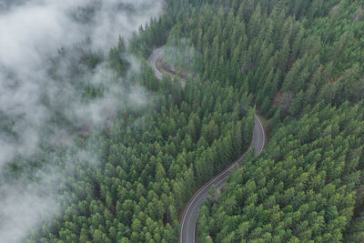 Aerial view of the mountain road in the beautiful forest in springtime. top view of the winding road