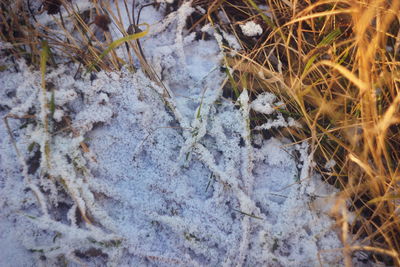 High angle view of snow covered field