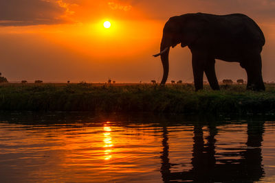 Scenic view of sunset over lake