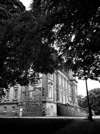 Low angle view of trees and building in city