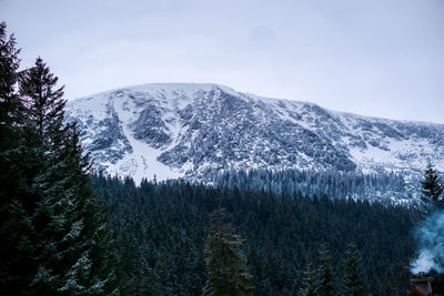 Close-up of snow on mountain against sky