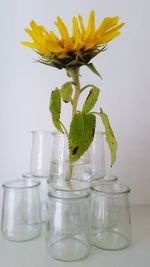 Close-up of flowers in vase on table