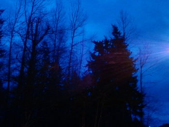 Low angle view of bare trees against blue sky