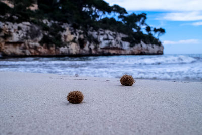 Close-up of pebbles on beach against sky